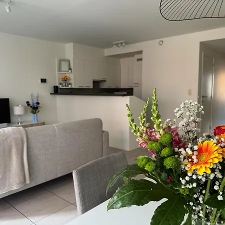 Meretmoi -- Modern In Lejlighed *